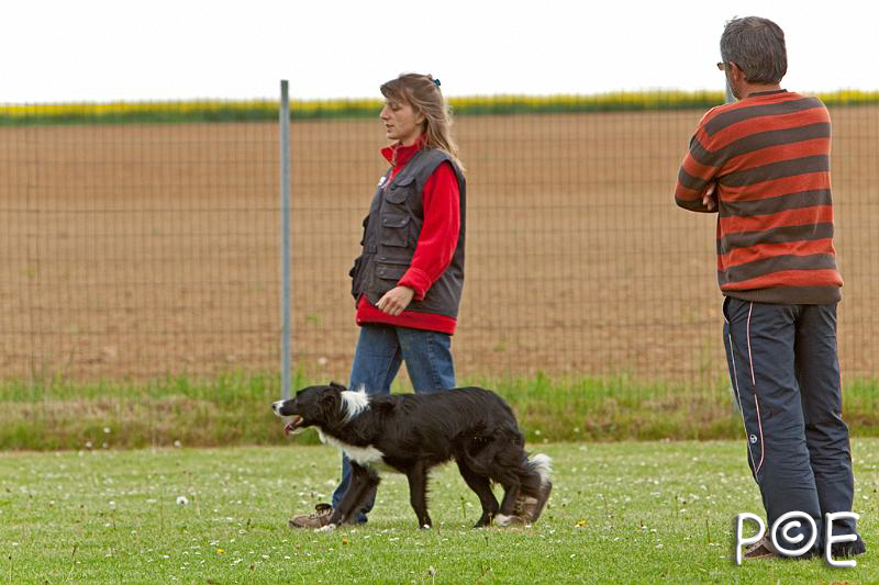 090510_MG_6554.jpg - Education canine