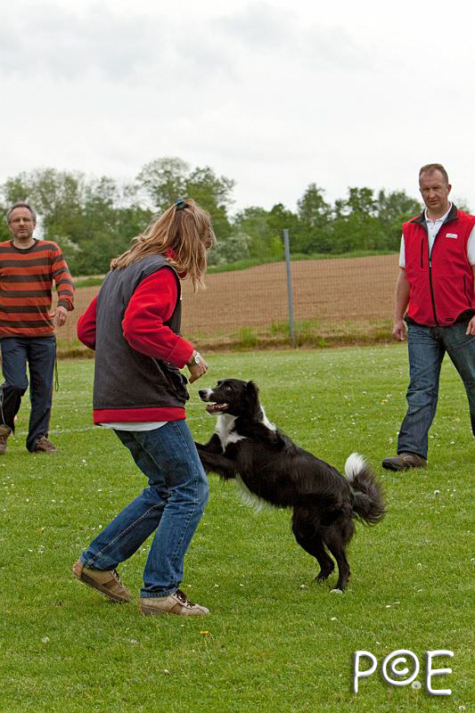 090510_MG_6574.jpg - Education canine