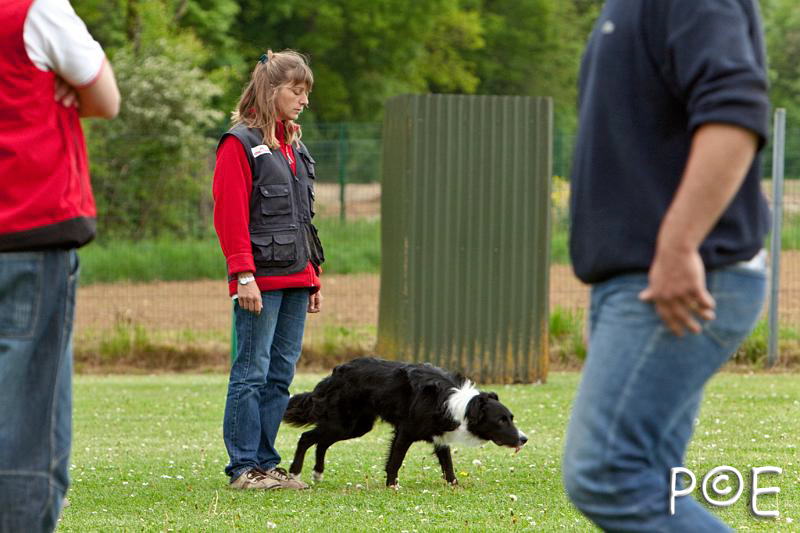 090510_MG_6577.jpg - Education canine