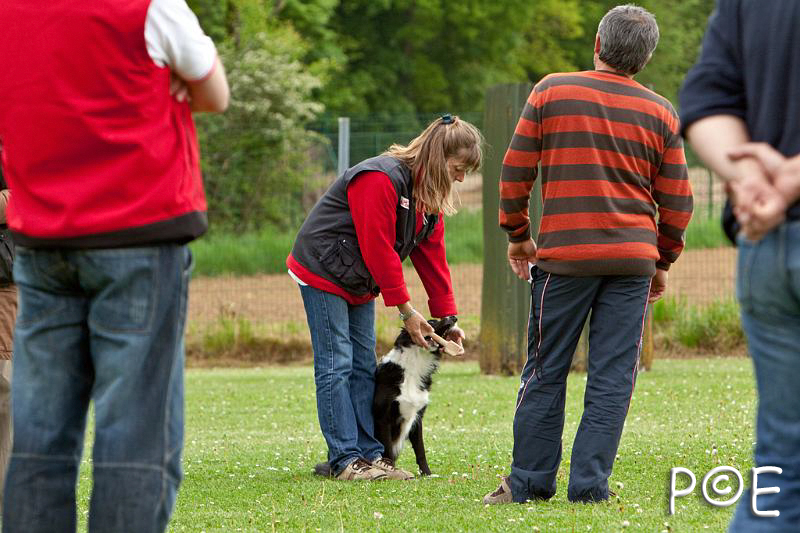 090510_MG_6587.jpg - Education canine