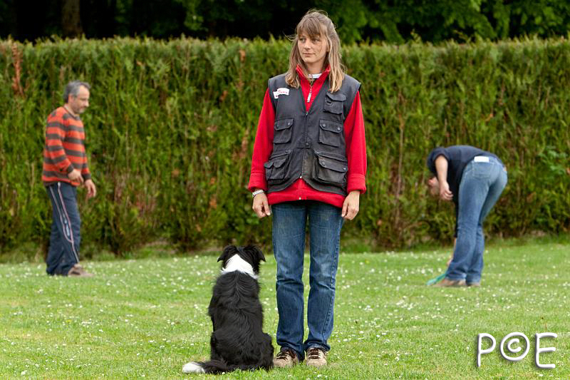 090510_MG_6601.jpg - Education canine