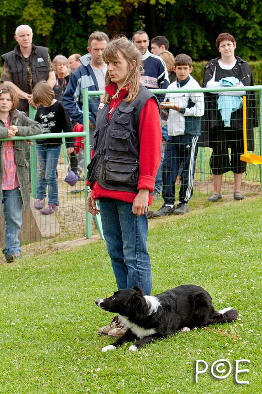 090510_MG_6608.jpg - Education canine