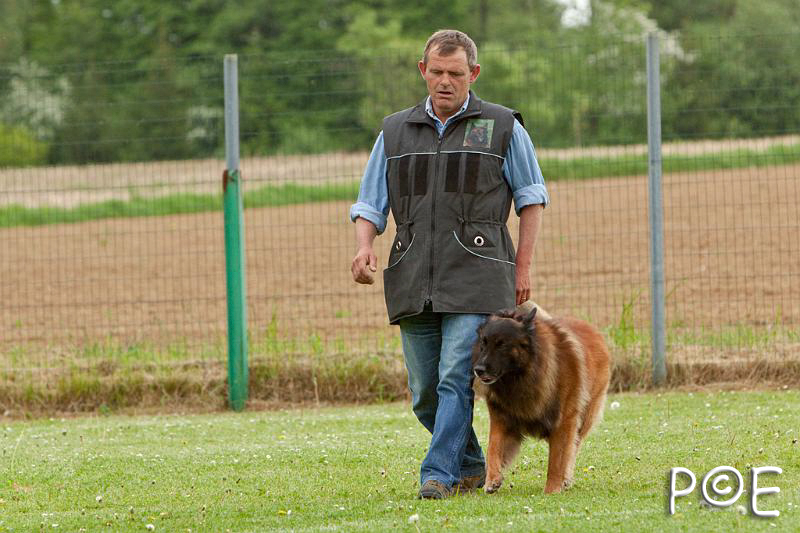 090510_MG_6612.jpg - Education canine