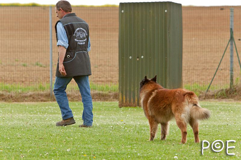 090510_MG_6613.jpg - Education canine