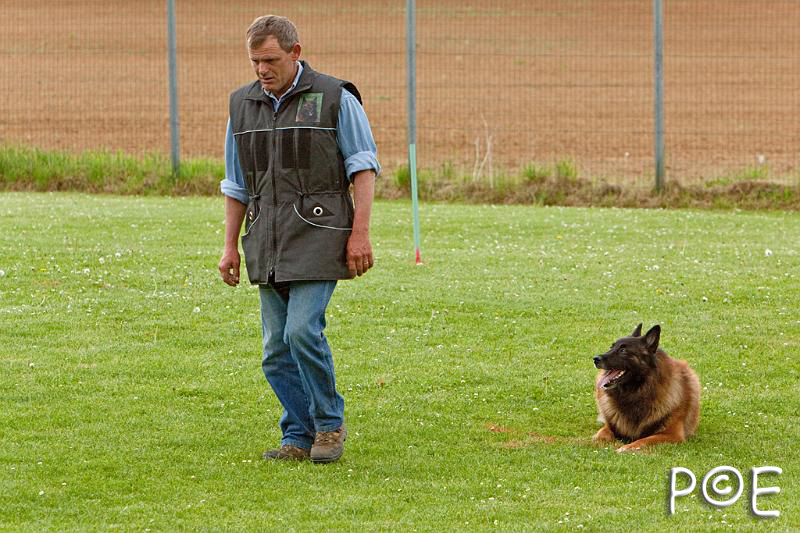 090510_MG_6616.jpg - Education canine