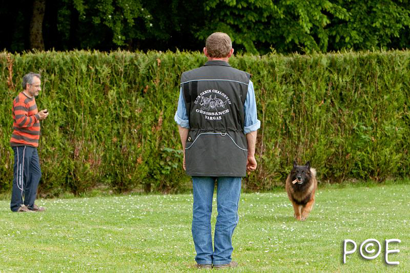 090510_MG_6657.jpg - Education canine