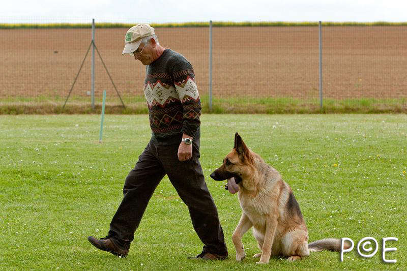 090510_MG_6668.jpg - Education canine