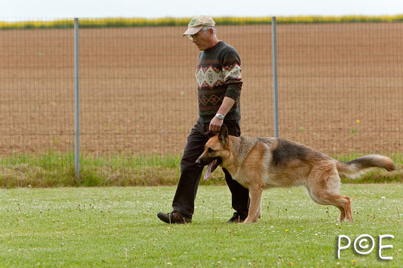 090510_MG_6671.jpg - Education canine