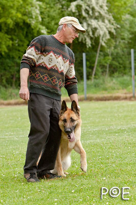 090510_MG_6678.jpg - Education canine