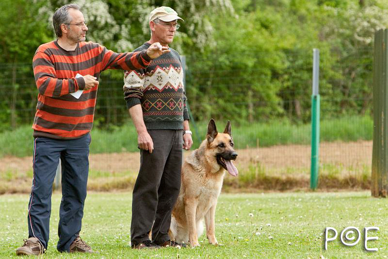 090510_MG_6683.jpg - Education canine