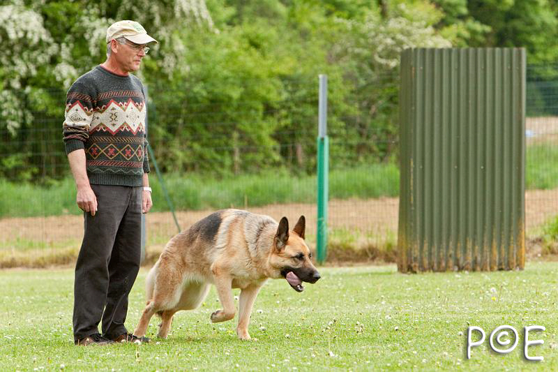 090510_MG_6686.jpg - Education canine