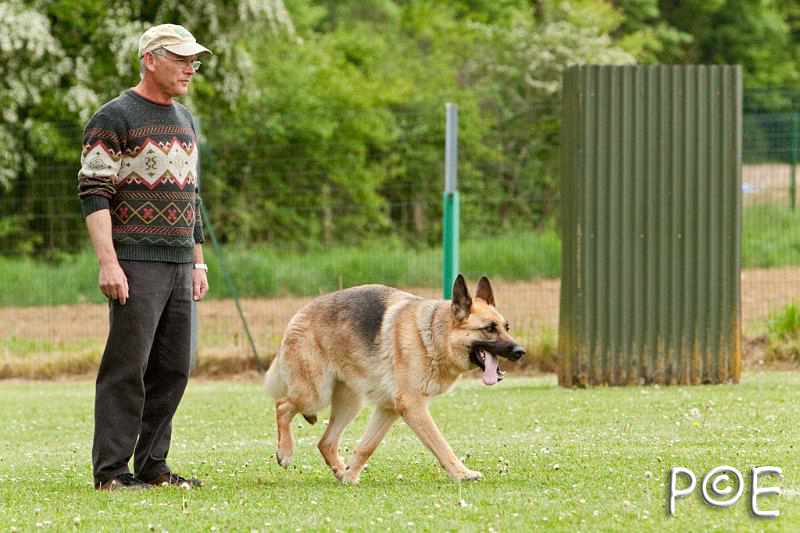 090510_MG_6687.jpg - Education canine
