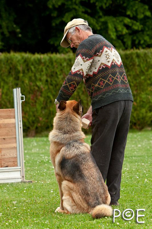 090510_MG_6699.jpg - Education canine