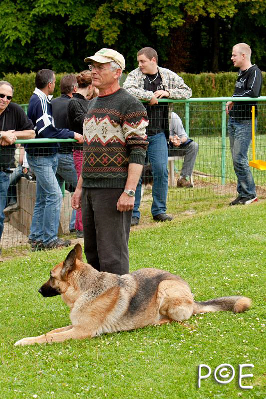090510_MG_6705.jpg - Education canine