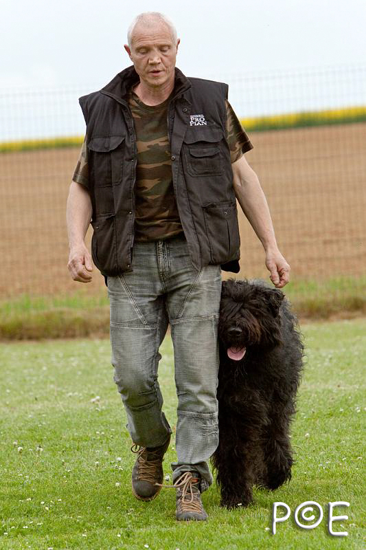 090510_MG_6718.jpg - Education canine