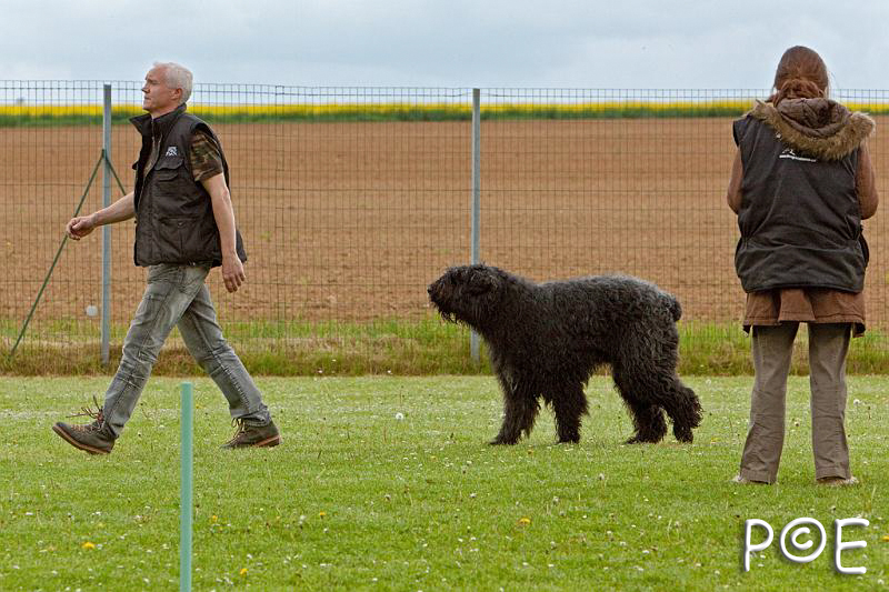090510_MG_6738.jpg - Education canine