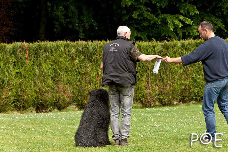 090510_MG_6800.jpg - Education canine