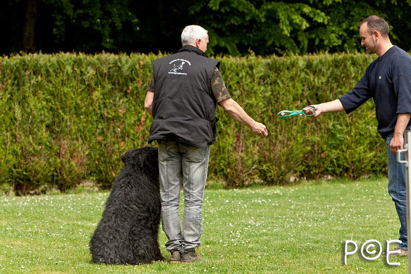 090510_MG_6802.jpg - Education canine