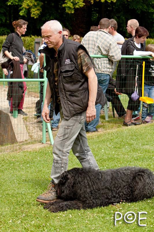090510_MG_6803.jpg - Education canine