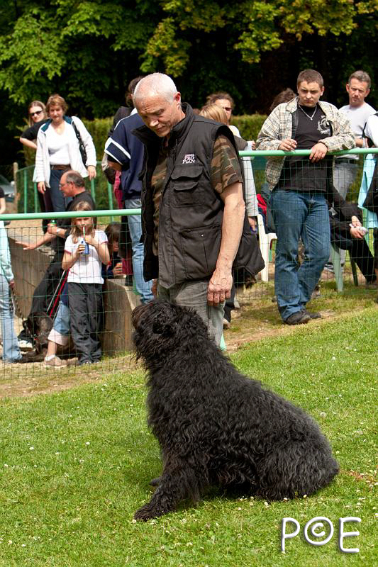 090510_MG_6812.jpg - Education canine