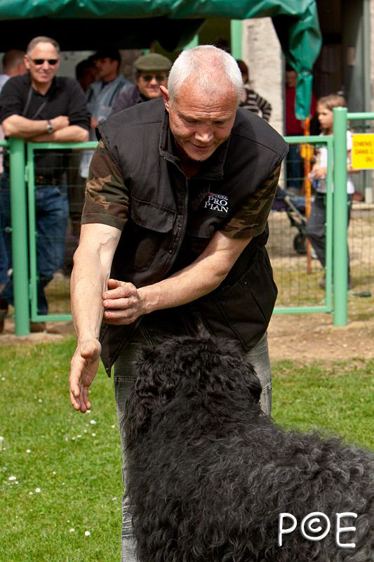 090510_MG_6825.jpg - Education canine