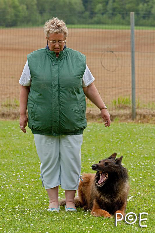 090510_MG_6840.jpg - Education canine