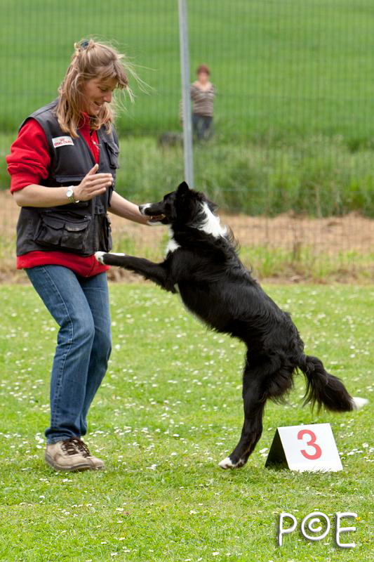 090510_MG_6865.jpg - Education canine