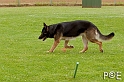 090510_MG_6305