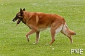 090510_MG_6441