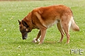 090510_MG_6460