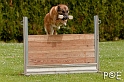 090510_MG_6470