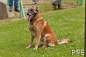 090510_MG_6480