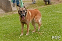090510_MG_6481