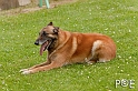 090510_MG_6482