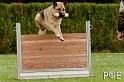 090510_MG_6695