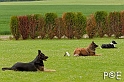 090510_MG_6857
