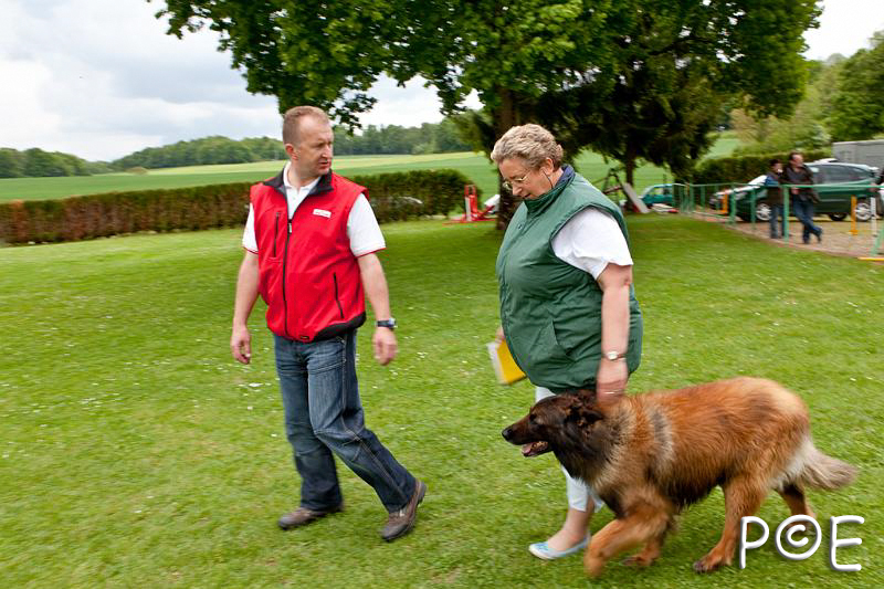 090510_MG_2226.jpg - Education canine