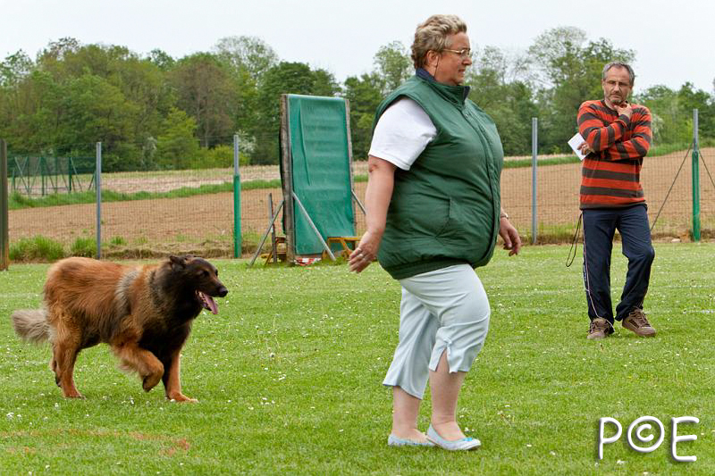 090510_MG_6937.jpg - Education canine