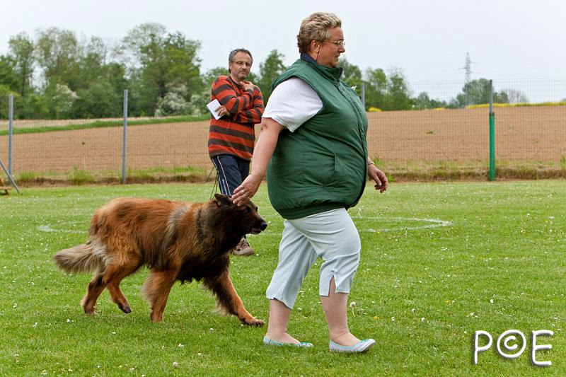090510_MG_6941.jpg - Education canine