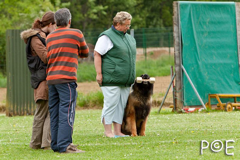 090510_MG_6957.jpg - Education canine