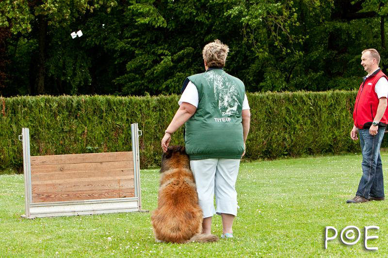 090510_MG_6958.jpg - Education canine
