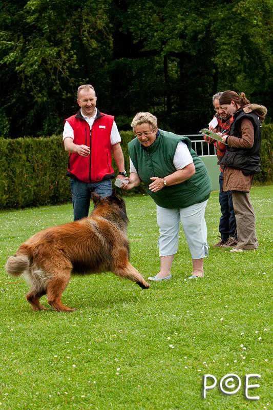090510_MG_6968.jpg - Education canine