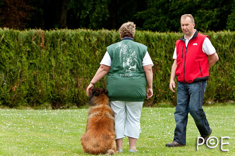 090510_MG_6973.jpg - Education canine