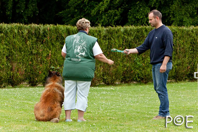 090510_MG_6980.jpg - Education canine