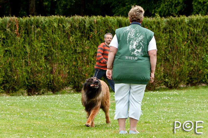 090510_MG_6984.jpg - Education canine