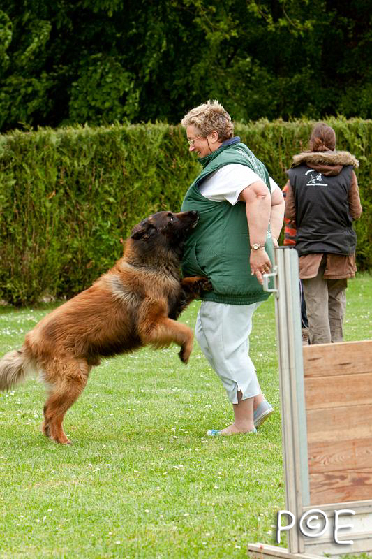 090510_MG_6990.jpg - Education canine
