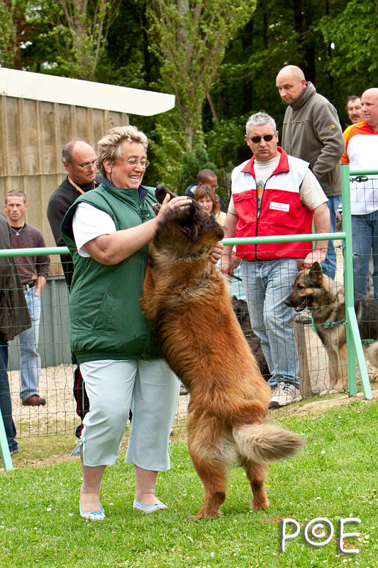 090510_MG_7014.jpg - Education canine