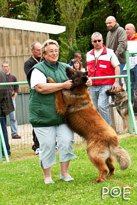 090510_MG_7017.jpg - Education canine