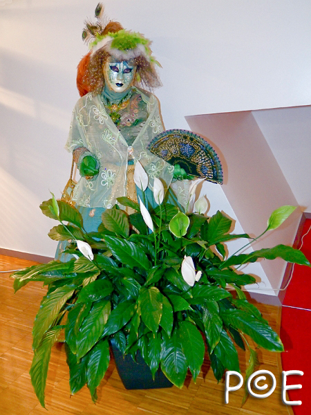 081014_DSCF3345.jpg