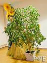 081014_DSCF3360